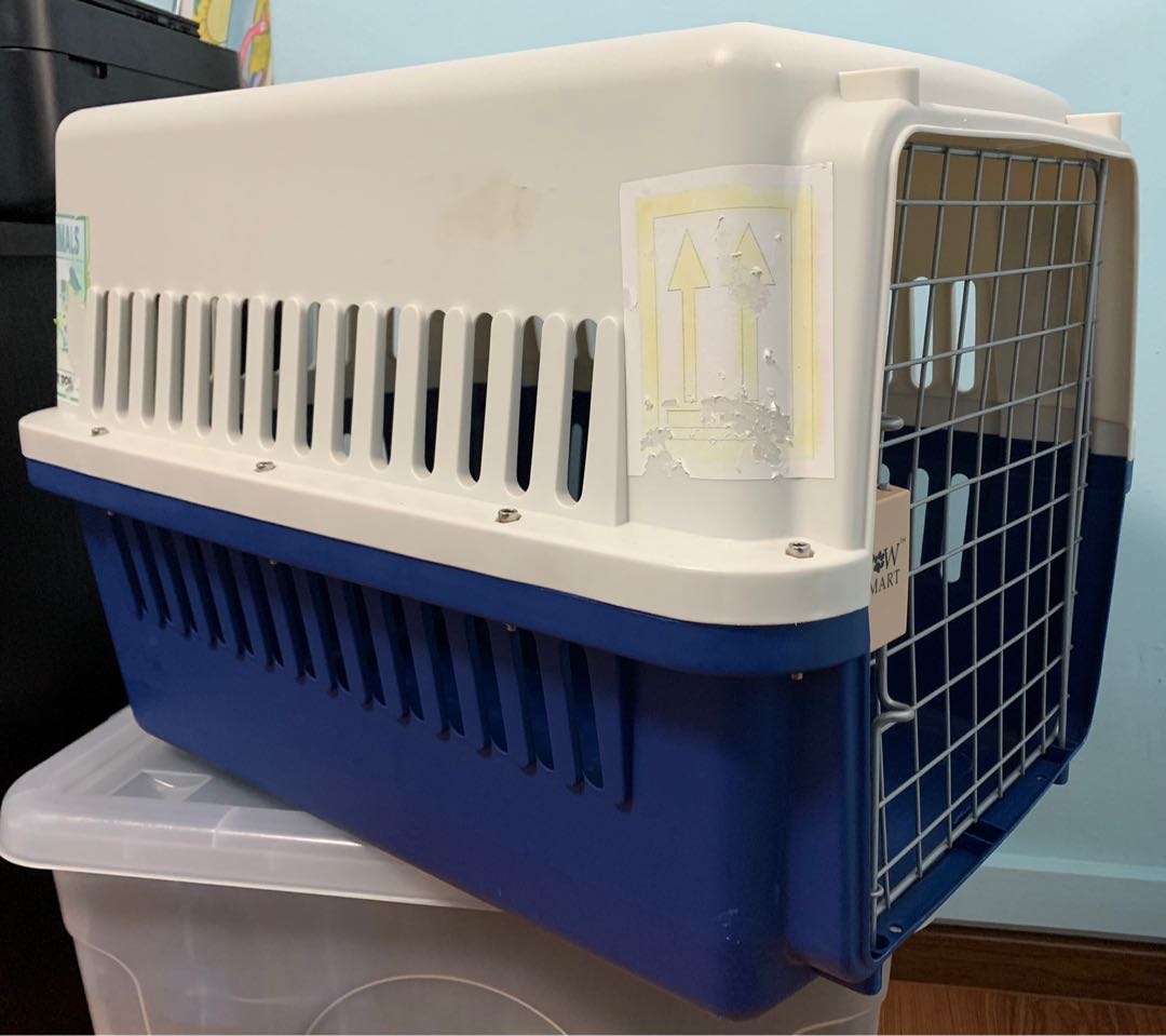 IATA approved dog crate, Pet Supplies, Homes & Other Pet Accessories on
