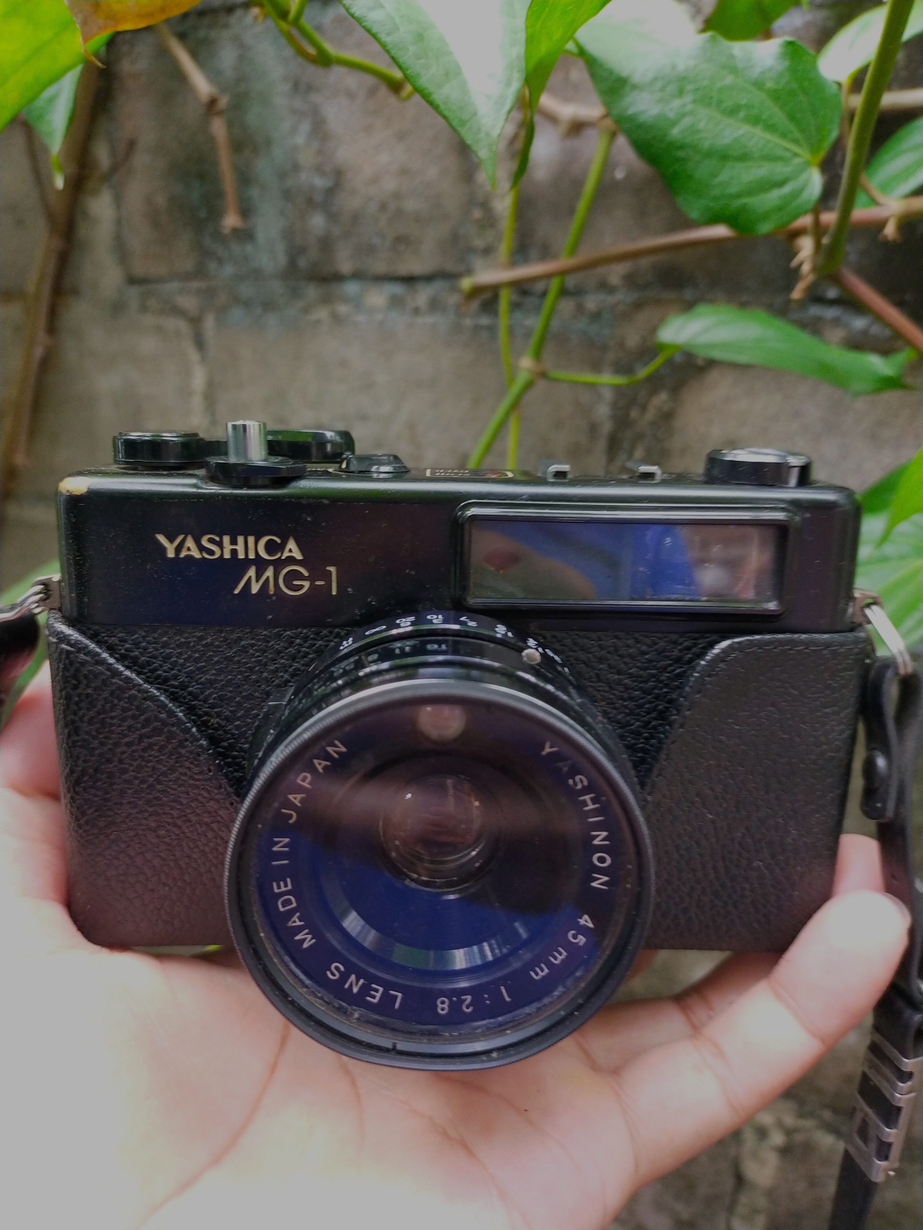 Kamera Yashica (Electro) MG1 Rangefinder, Fotografi di Carousell