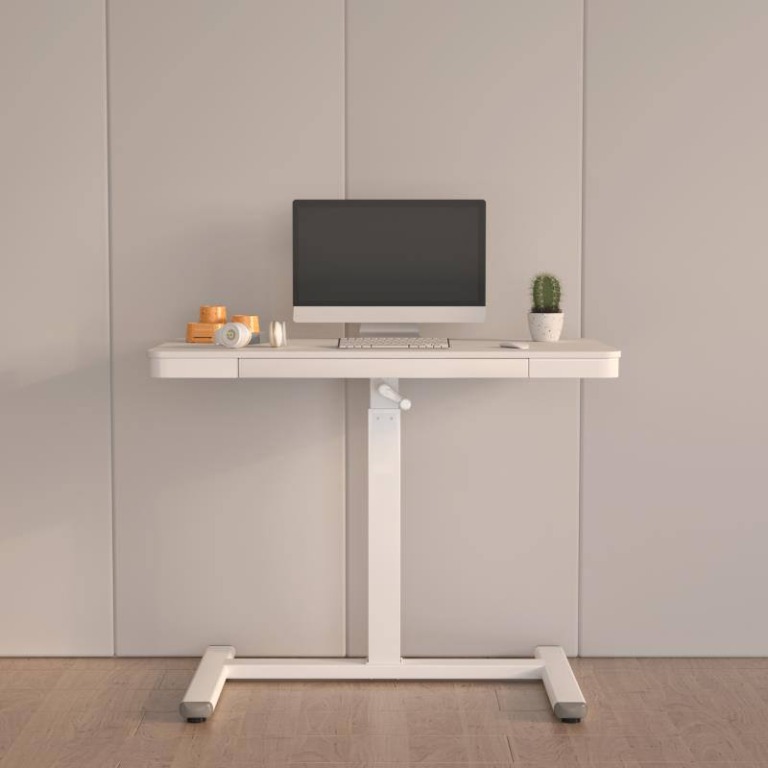 Mini store standing desk