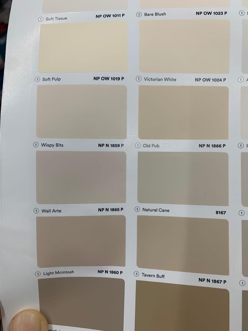 Nippon Paint Vinilex 5000 in Wall Arte, Furniture & Home Living, Home