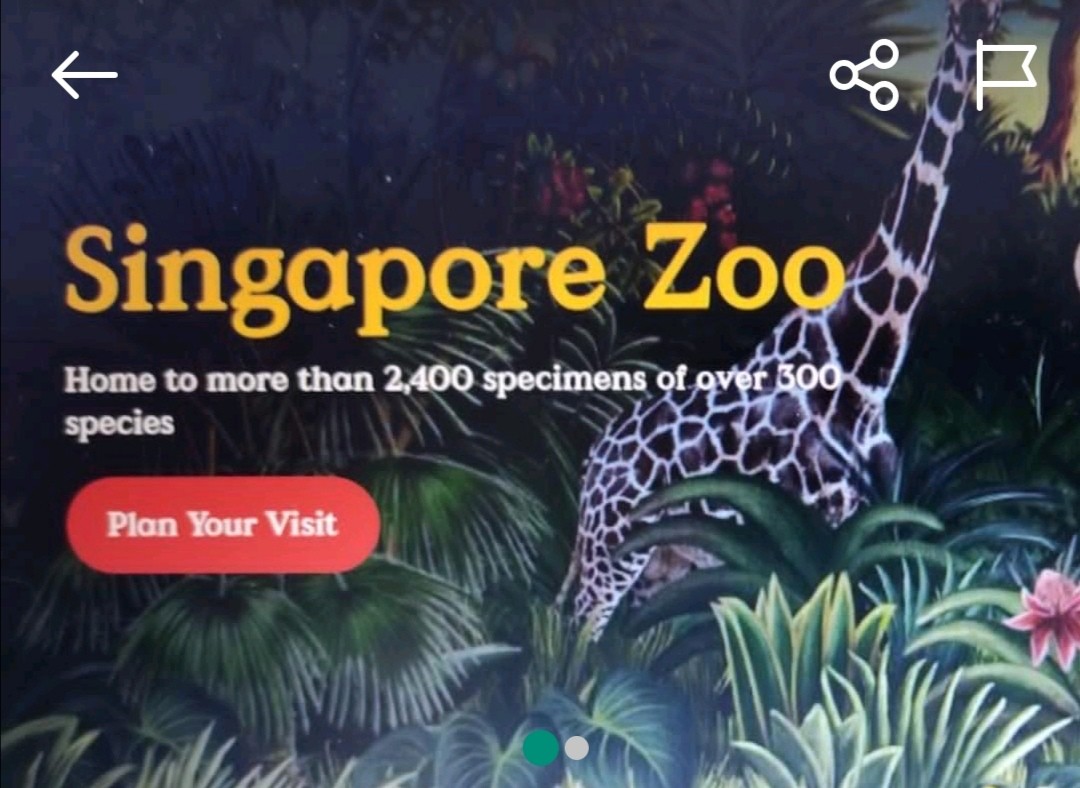 Singapore Zoo tickets, Tickets & Vouchers, Local Attractions