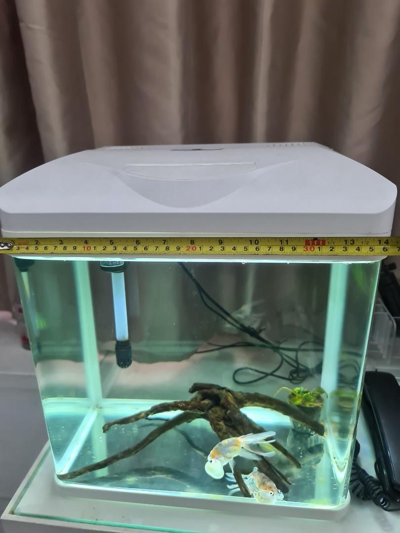 Small Aquarium from Pet City