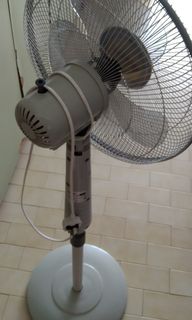 (Category: ) located in . Submitted by sepvin (Listing ID 1131074756, Image 1). Description: .