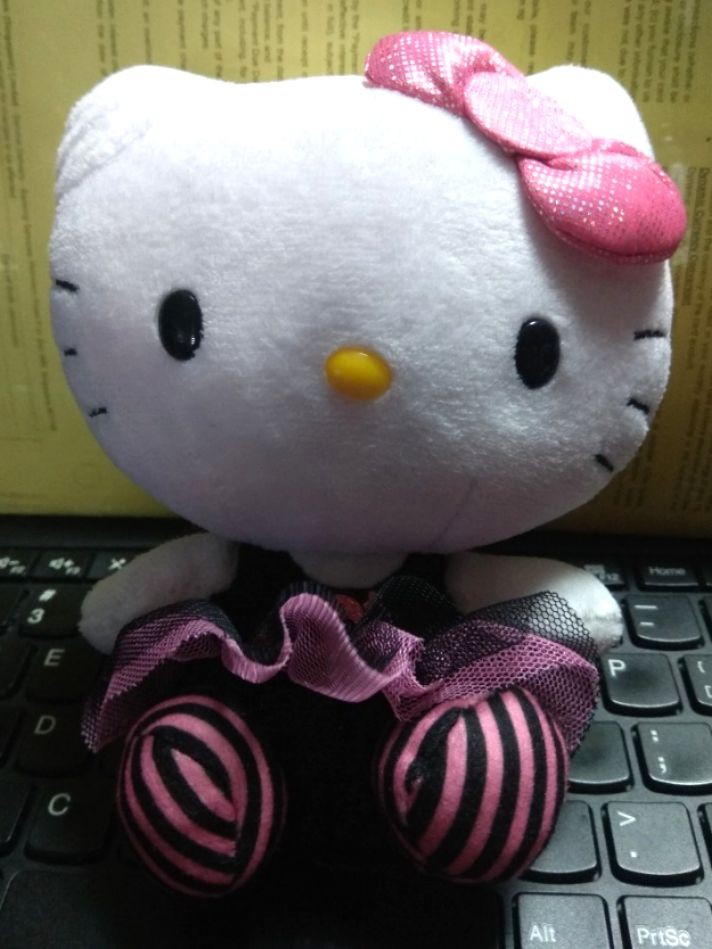 ty plush hello kitty