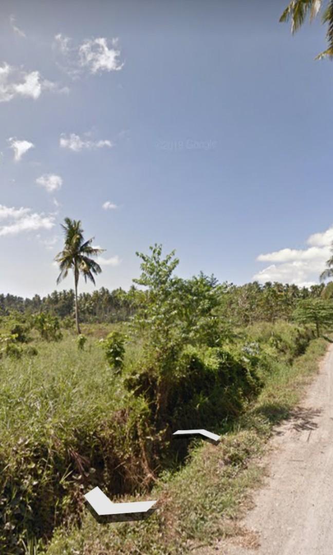 2 Hectares Land For Sale Tagum City. Upgradable to 4 Hectares, Property