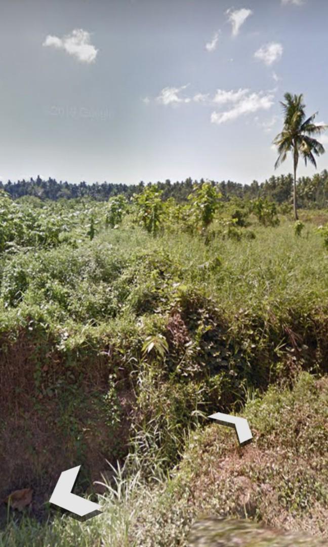 2 Hectares Land For Sale Tagum City. Upgradable to 4 Hectares, Property