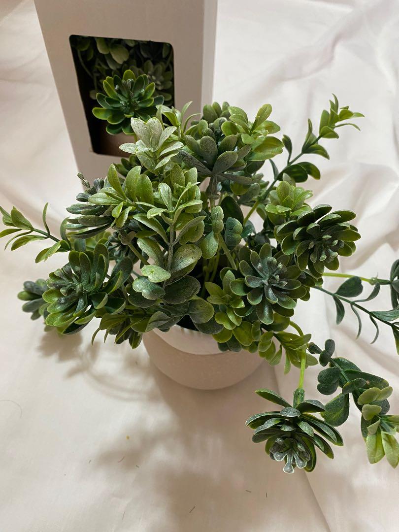 Artificial potted plant, Furniture & Home Living, Home Decor ...