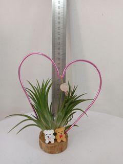 Christmas Xmas Airplant Deco Gift (Limited Edition)