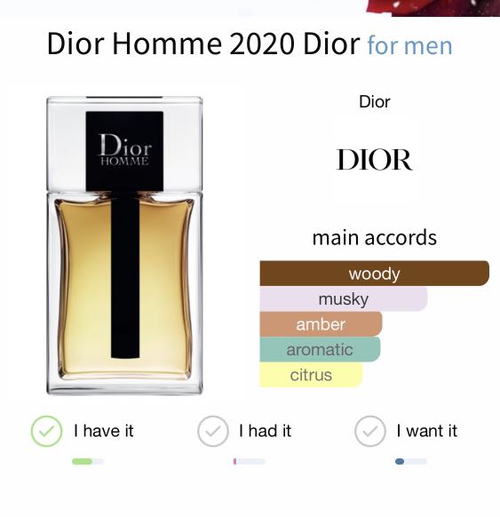 2020 dior homme
