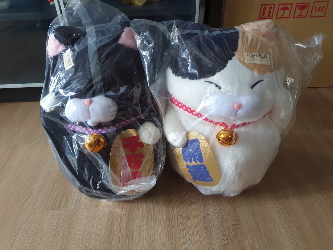 Kuromame cat online