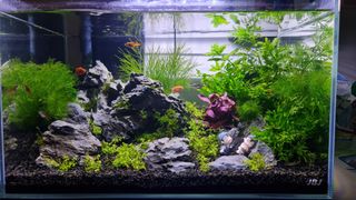 (Category: ) located in . Submitted by rus2210 (Listing ID 1131339183, Image 1). Description: .