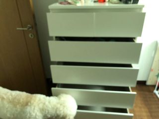 (Category: ) located in . Submitted by acenamoco (Listing ID 1131239379, Image 1). Description: .