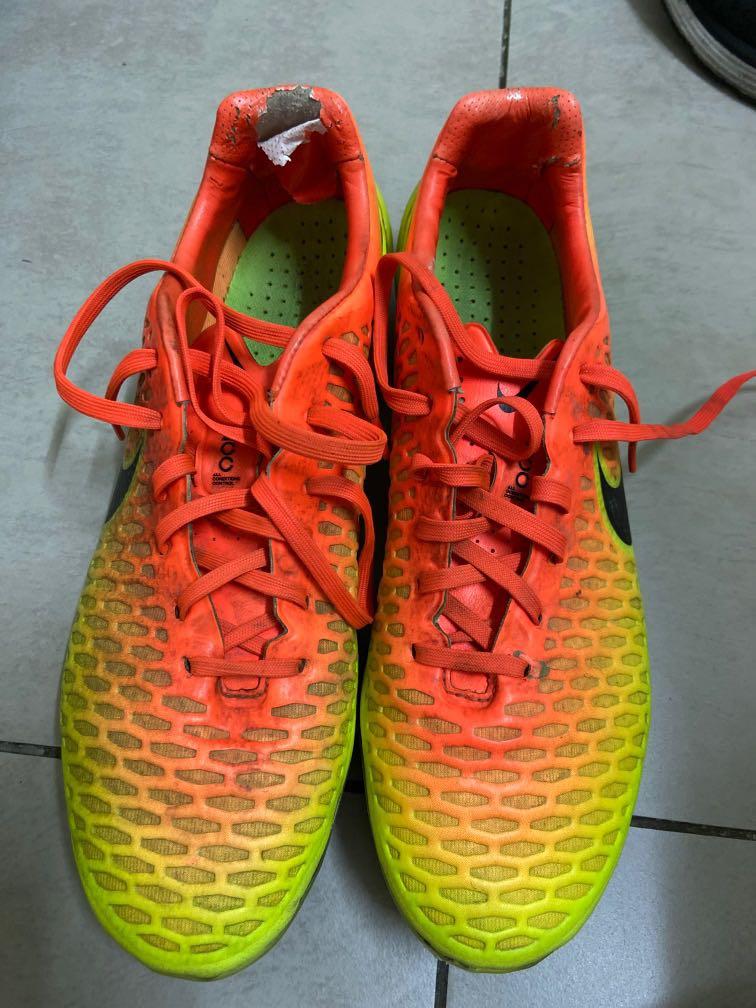 magista acc