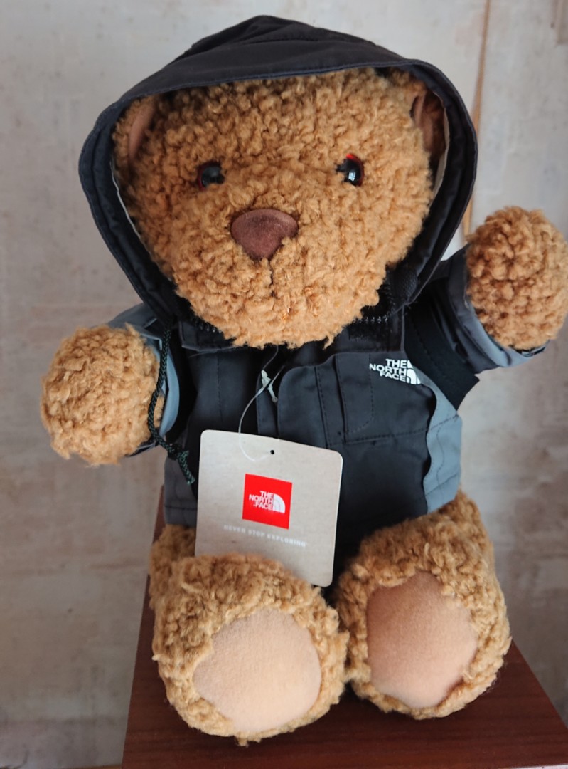 The north shop face teddy bear