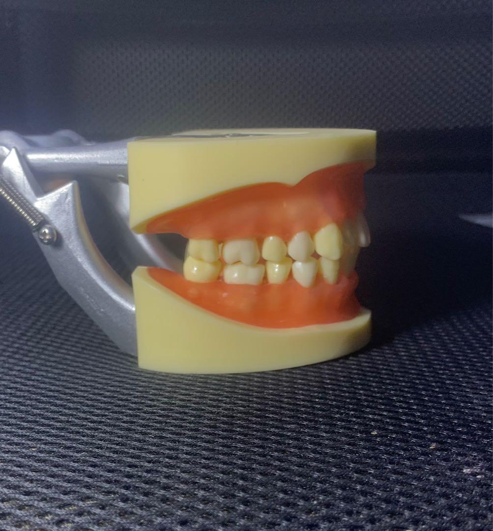 Oral Surgery Articulator, Health & Nutrition, Medical Supplies & Tools on Carousell