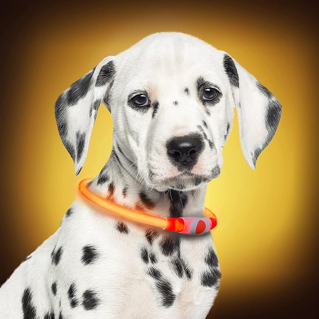 Petsol led collar top