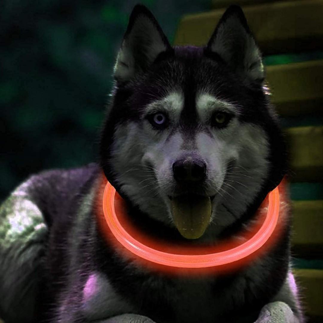 Petsol led collar sales