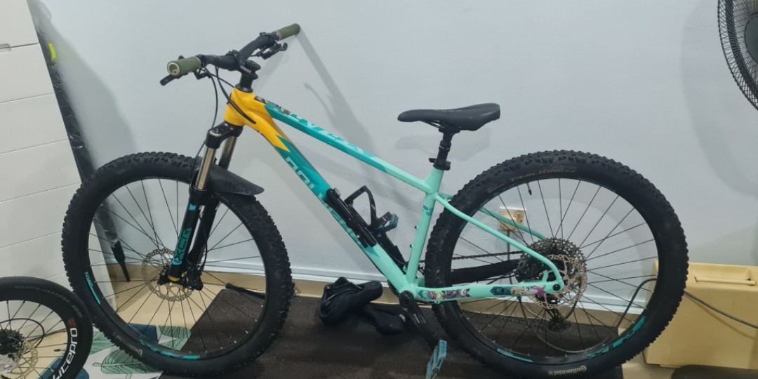 polygon 29er