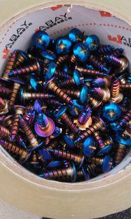 Screw 18pcs
