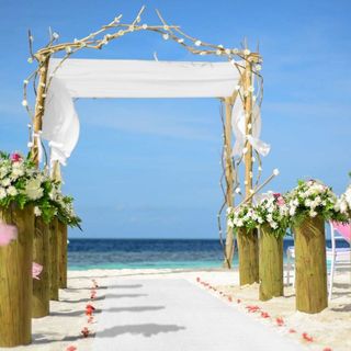 used-wedding-decorations - View all used-wedding-decorations ads in ...