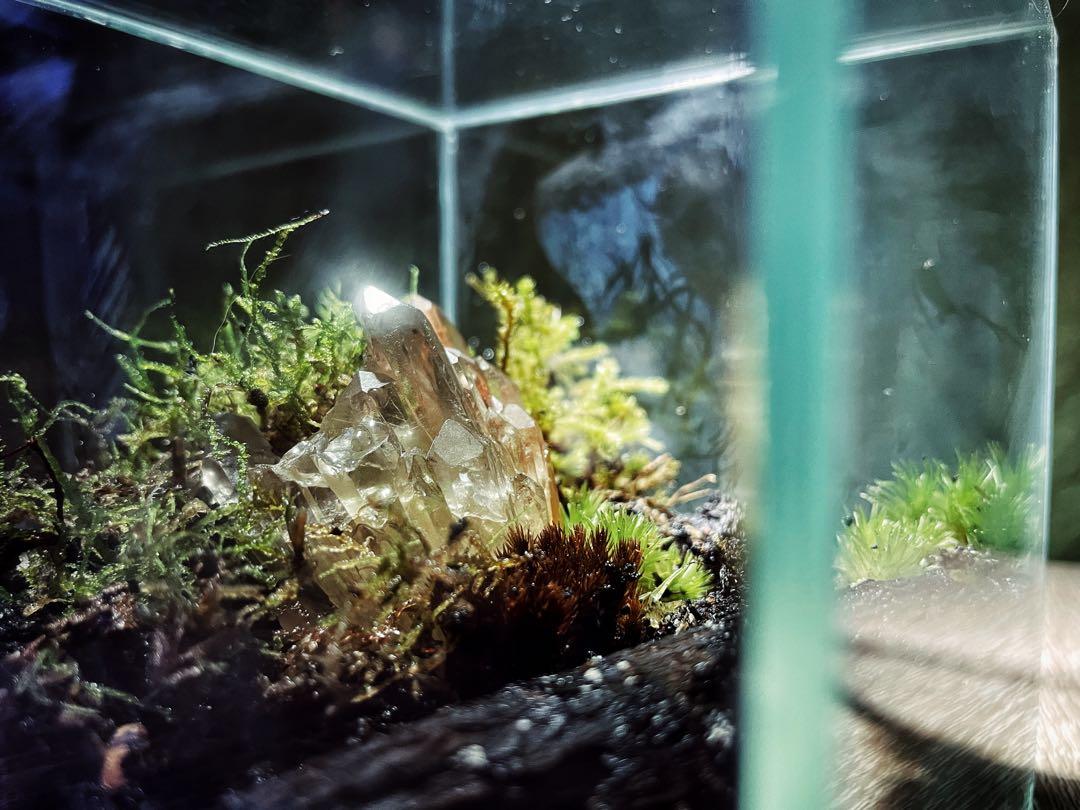 10x10x10 closed terrarium cube (suitable for isopod), Furniture & Home