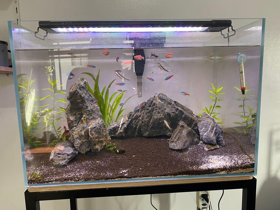Aquarium 1 Meter Lang