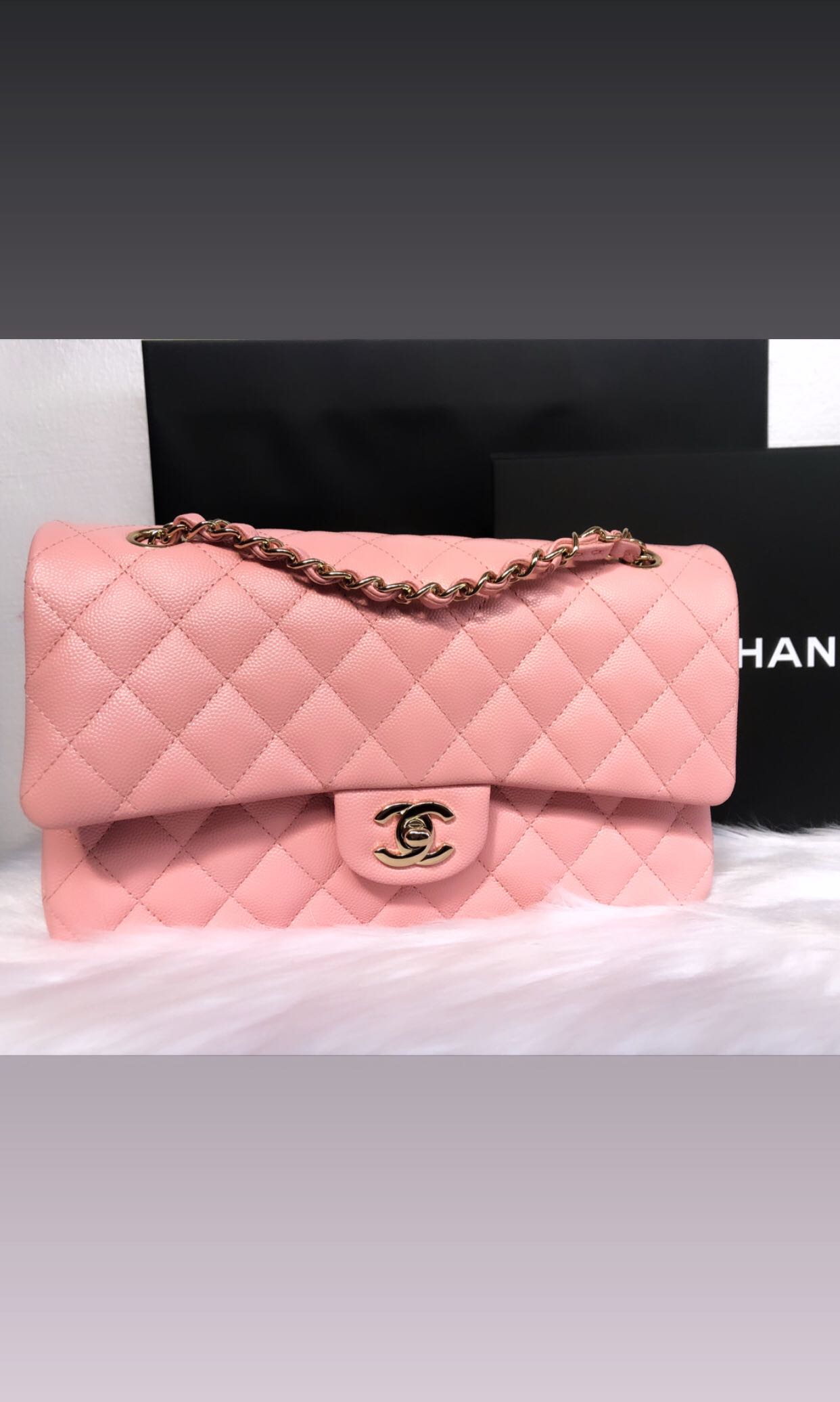 CHANEL 22C CRUISE COLLECTION, Women's Fashion, Bags