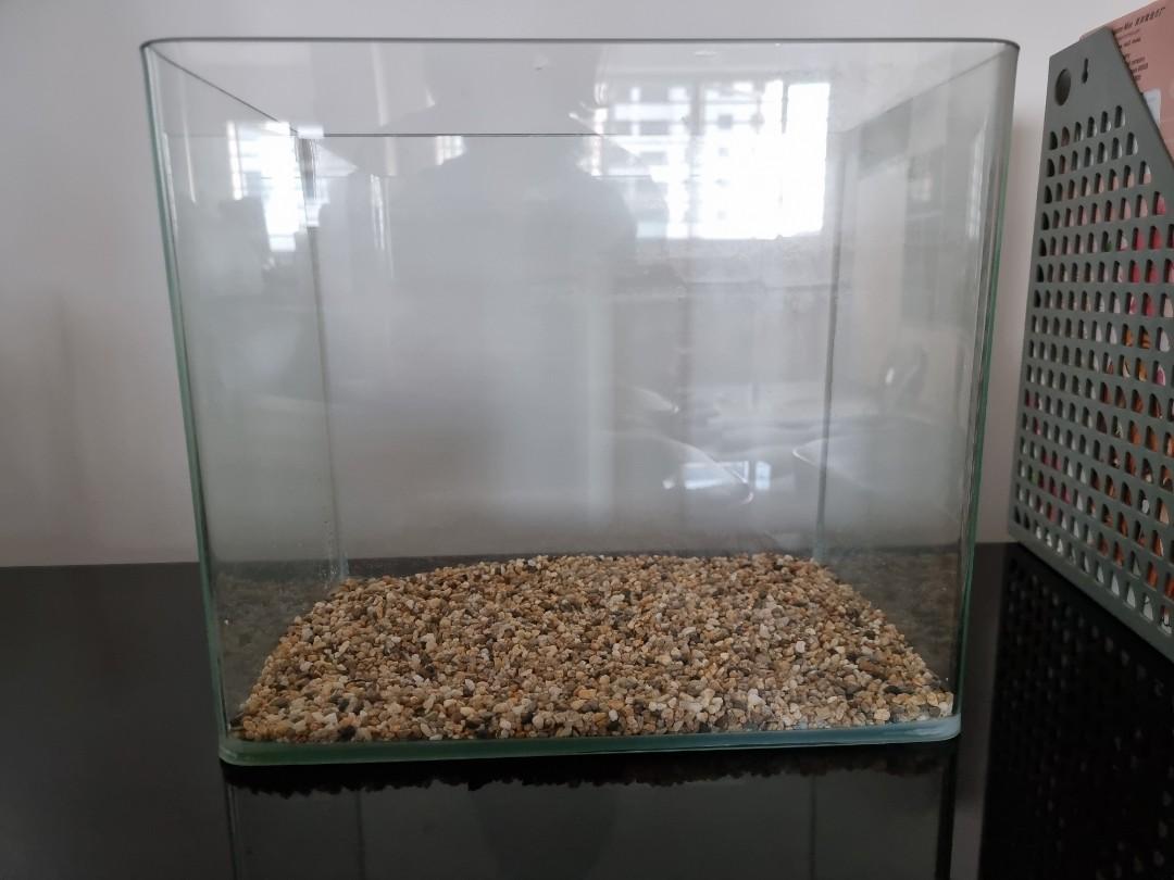 Fish Tank, Pet Supplies, Homes & Other Pet Accessories on Carousell
