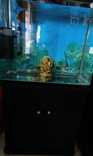 (Category: ) located in . Submitted by raj2575 (Listing ID 1131464751, Image 1). Description: .