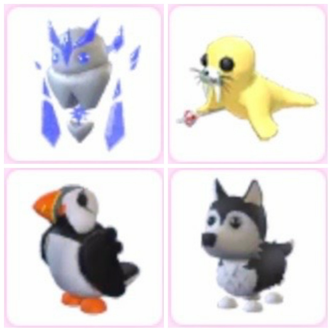 Puffin Ice Golem Husky Golden Walrus Adopt me pet Roblox, Video