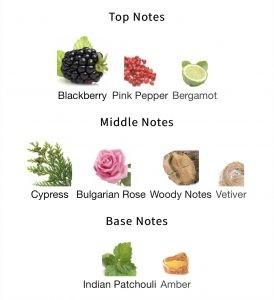 Gucci guilty sales top notes