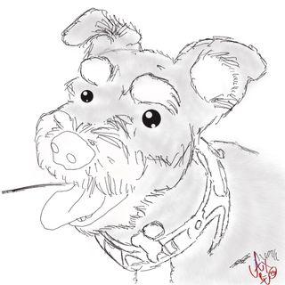 memento88's items for sale on Carousell