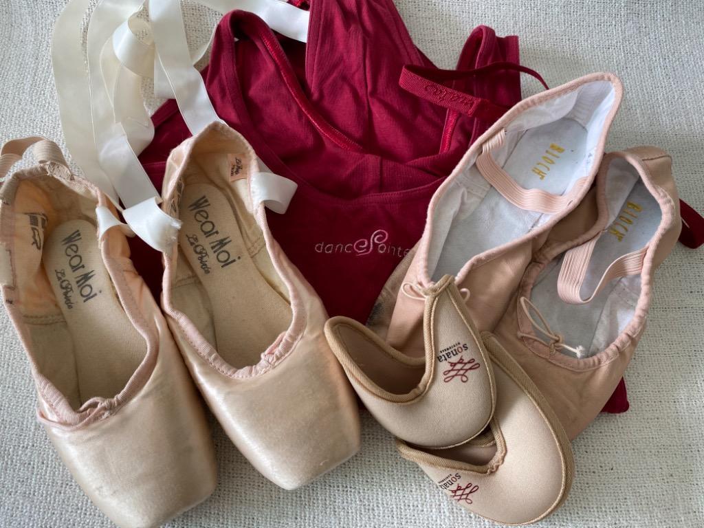 Red pointe shoes bloch sale