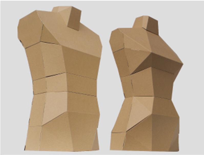 Cardboard Mannequin Male & Female, Hobbies & Toys, Stationery & Craft