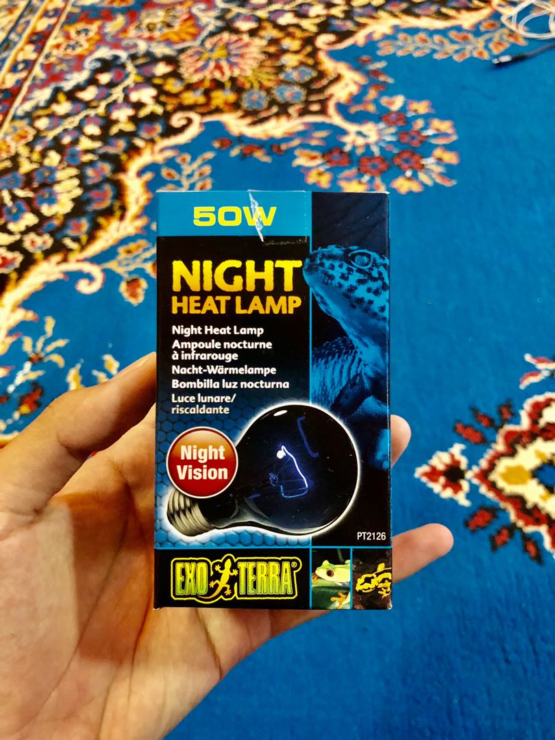 Exo terra night heat lamp 50w on sale