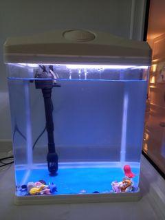 Fish Tank All in One