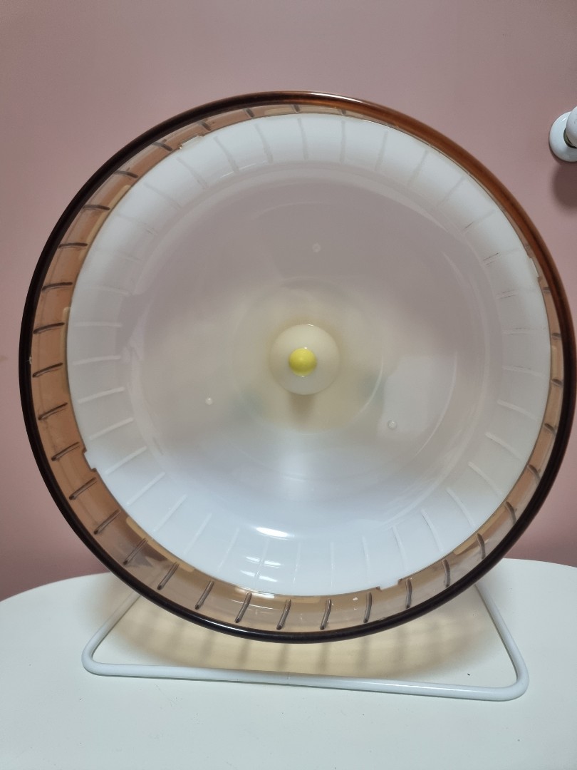 Hamster Wheel 28cm Pet Supplies Homes Other Pet Accessories On hamster-wheel-28cm-pet-supplies-homes-other-pet-accessories-on