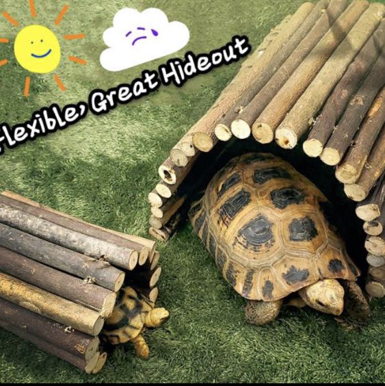 Living World Tree House Real Wood Log Small Tortoise House