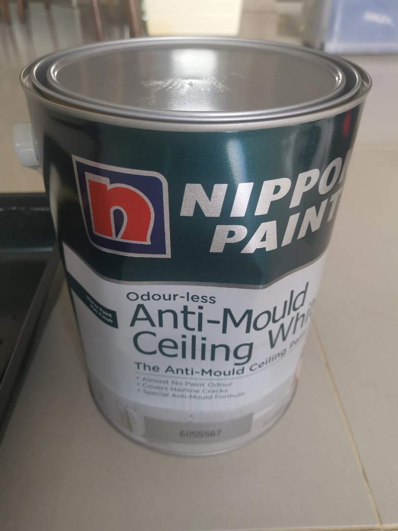 Nippon Paint Odorless Anti Mould Ceiling White 5L paint free Brushes