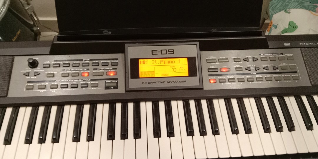 Roland E09 Hobbies Toys Music Media Musical Instruments on