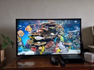 (Category: ) located in . Submitted by katgra (Listing ID 1131736151, Image 1). Description: .