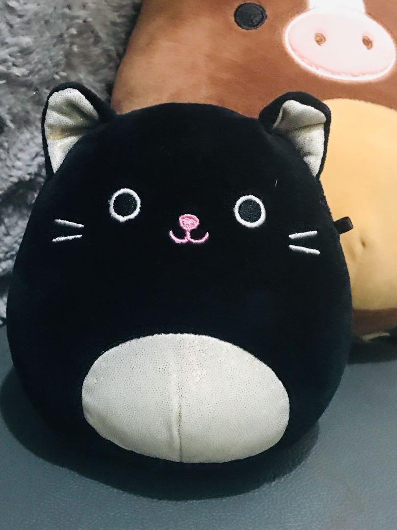 squishmallow autumn cat