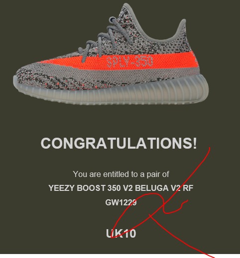 Adidas cheap yeezy notification