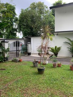 (Category: ) located in . Submitted by irenetaylor (Listing ID 1131319367, Image 1). Description: .
