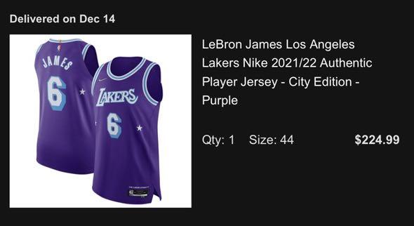 Lebron James Lakers Authentic Jersey size 44 Nike City 2021-22