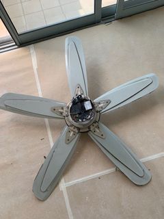 (Category: ) located in . Submitted by anu00 (Listing ID 1131908825, Image 1). Description: .