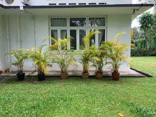 (Category: ) located in . Submitted by irenetaylor (Listing ID 1131885214, Image 1). Description: .