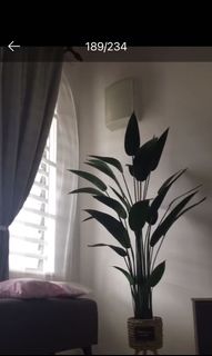 (Category: ) located in . Submitted by fathiain (Listing ID 1131835963, Image 1). Description: .