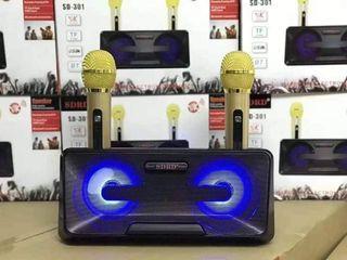 Portable Bluetooth Speaker with 2pcs wireless microphone