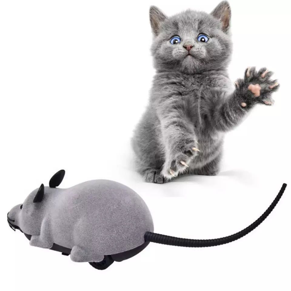 electronic mouse toy